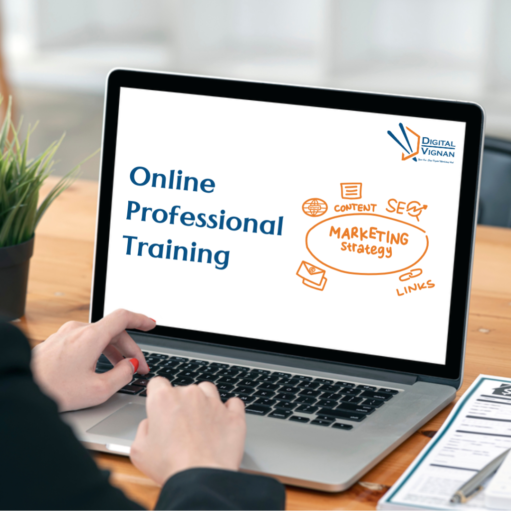 Online Professional Digital Marketing Training